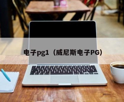 电子pg1（威尼斯电子PG）