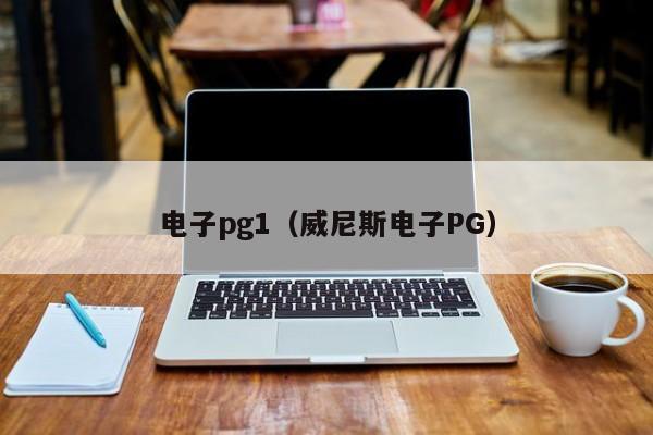 电子pg1(威尼斯电子PG)